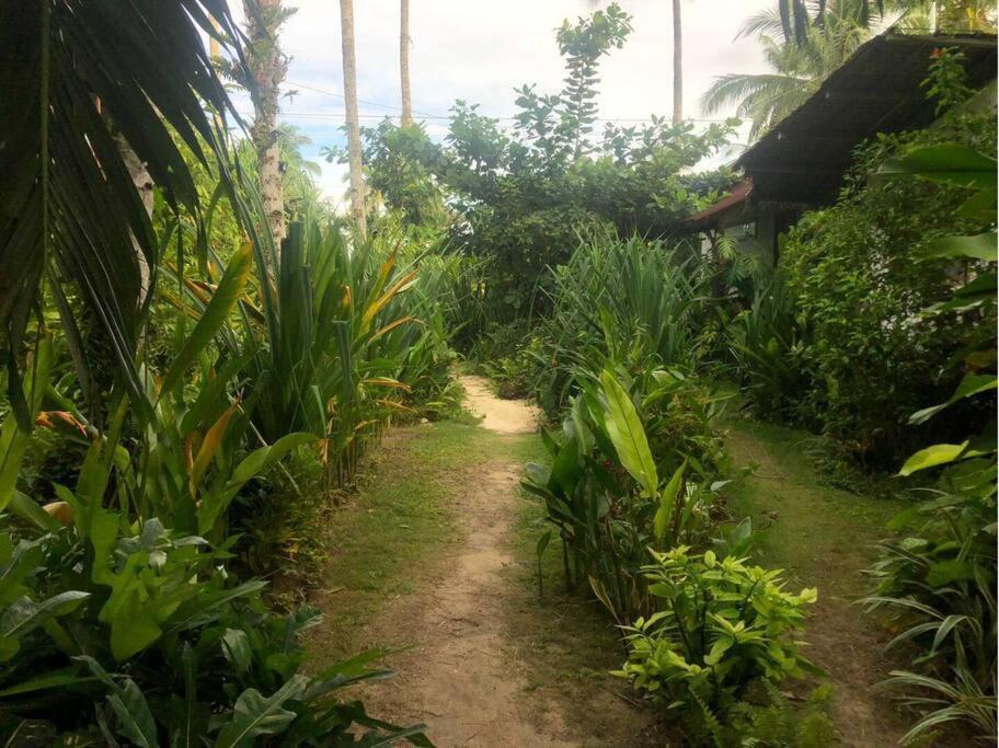 Secret Spot Siargao Hotel General Luna  Buitenkant foto